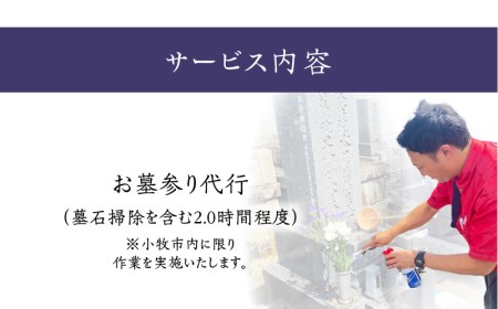 お墓参り代行C（墓石掃除を含む2.0時間程度）[067S03]