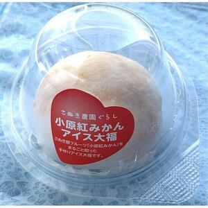 小原紅みかん大福（85g×6個）+小原紅みかんアイス大福（70g×6個）セット｜配送不可地域：北海道・沖縄県・離島｜ふるさと 納税 返礼品 お取り寄せ 取り寄せ グルメ 柑橘 スイーツ お菓子 スィーツ スウィーツ おかし フルーツ大福 大福 だいふく
