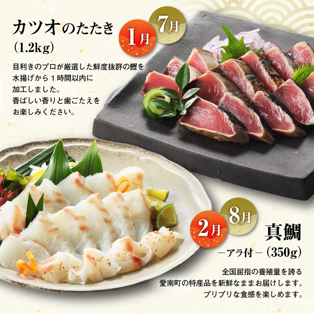 【 刺身 】 刺身定期便 6回
