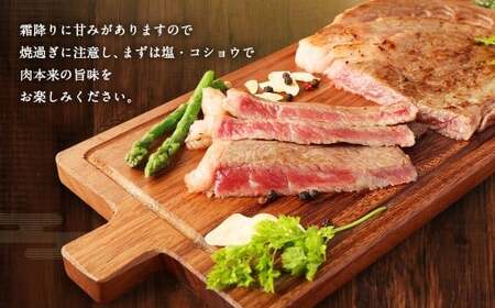 【大分県産】豊後牛 サーロイン ステーキ 約300g (約150g×2) 牛肉