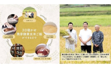 【1食 お試し セット】3日寝かせ 発芽 酵素 玄米 ごはん 125g×1食