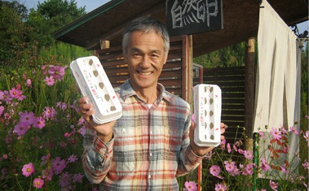 平飼い卵 とれたて発送「御幸卵（ごこうらん）」36玉入り 伊達市 福島県 国産 養鶏場直送 卵 たまご 玉子 生卵 鶏卵 F20C-619