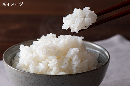 令和7年 富津産「ゆうだい21」5kg（精米）