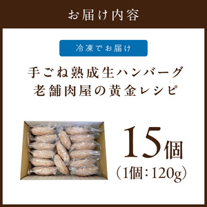博多和牛手ごね生ハンバーグ 15個 味付きハンバーグ【019-0021】