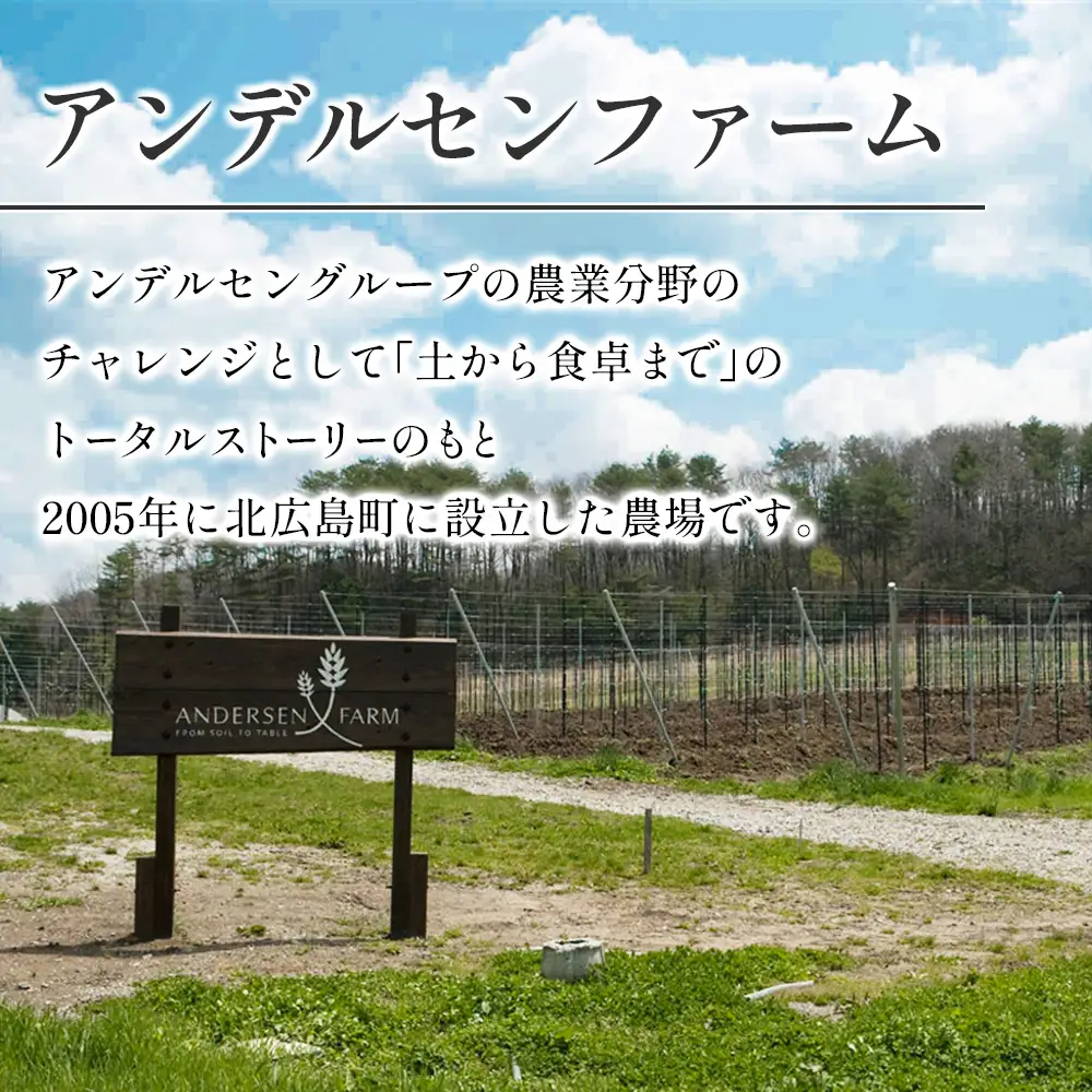 りんごジュース 3本セット アンデルセンファーム 林檎ジュース 紅玉 シナノゴールド グラニースミス_AN008_004