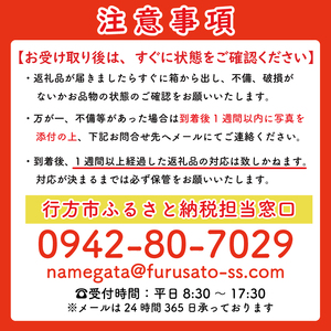 【訳あり】 紅はるか 約10kg 【2026年9月より順次発送】｜紅はるか 無選別 先行予約 行方台地 さつまいも 茨城県(CU-55-4)