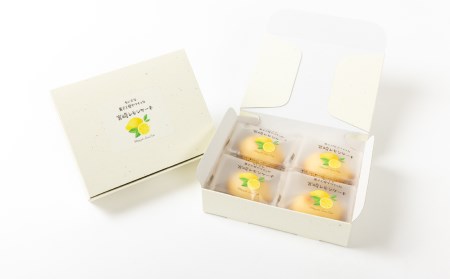 みやざきフードアワード審査員賞受賞「宮崎レモンケーキ」 4個入り2箱セット ケーキ レモンケーキ レモン スイーツ デザート 贈り物 贈答 ギフト プレゼント グルメ お取り寄せ 個包装 個装 個別包装 おすそ分け おもてなし 宮崎県 高千穂町 _Tk022-014