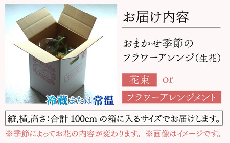 おまかせ季節のフラワーアレンジ（生花）Mサイズ【母の日申込期日：4/26（日）まで】【母の日発送予定日：～5/11（月）まで】お好み、着日指定可能 日本製  フラワーアレンジメント ギフト フラワーギフト 贈り物 贈答用 贈答 お花 フラワー お歳暮 花束 日付指定