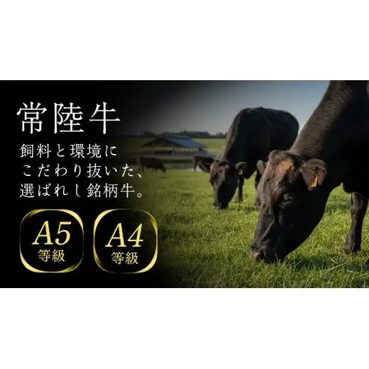 【常陸牛】すき焼き しゃぶしゃぶ用 ( 赤身 450g )( 霜降 400g ) 食べ比べ セット (茨城県共通返礼品)