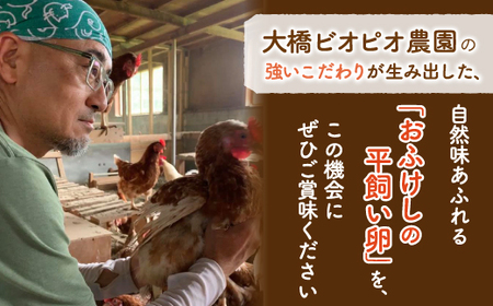 北海道 豊浦 おふけしの平飼い卵 24個 
