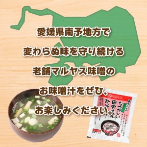 味噌 フリーズドライ 味噌汁 【17個入】