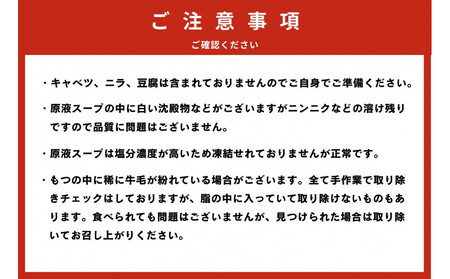 【老舗人気店】博多本格もつ鍋セット 4～5人前×2セット