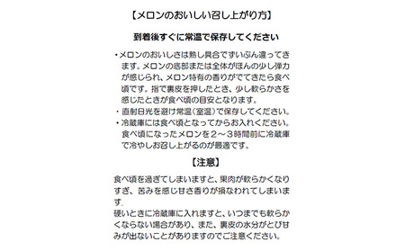 クラウンメロン 等級白 1.3kg 1個 静岡県 浜松市 【2026年1月中旬より順次発送】 メロン 果物 くだもの フルーツ めろん 青肉 デザート おやつ 糖度 高い 上品 香り 静岡県産 贈り物 ギフト お土産 産地直送 