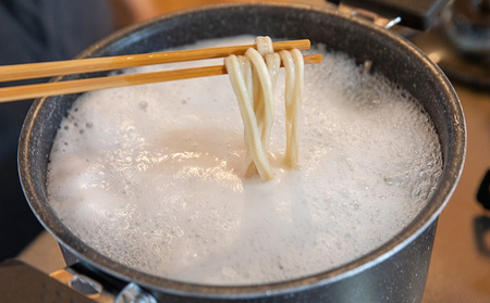 うどん 冷凍 かけ うどん 200g×10袋（出汁×10袋つき）