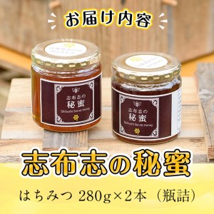 b2-003 日本みつばちの純粋蜂蜜＜志布志の秘蜜＞計560g(280g×2本)