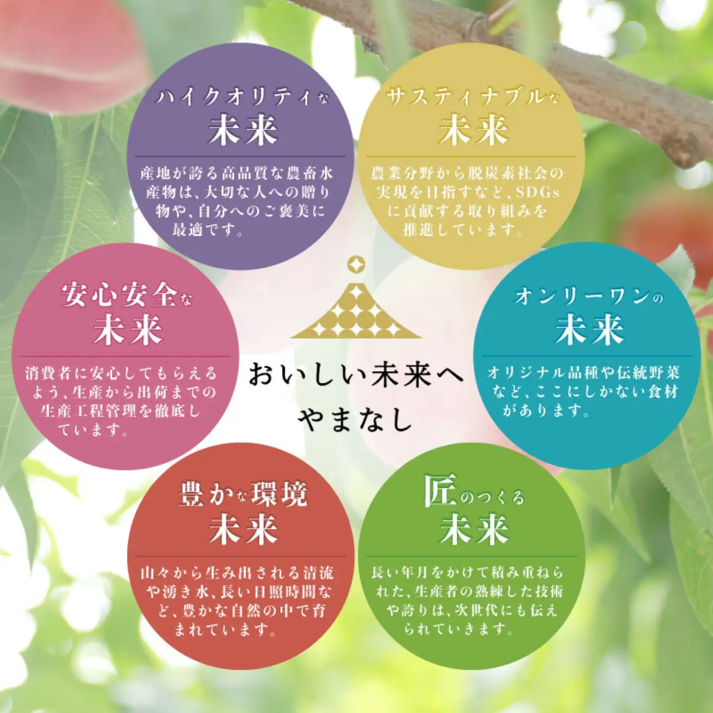 桃　山梨の桃　約1.5kg 以上