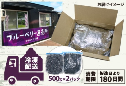 【先行予約】【7月中旬以降順次発送】【訳あり】令和8年産〈冷凍〉手摘み有機ブルーベリー1kg（500g × 2パック）