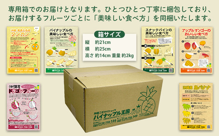 フルーツ【名護パイン園】旬の南国フルーツ定期便（6回コース）パイン マンゴー たんかん ドラゴンフルーツ  バナナ