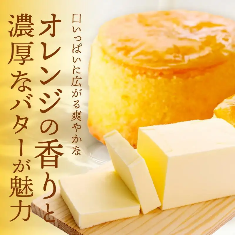 瀬戸内芳醇オレンジケーキ 小丸 6個入り 香川県産ネーブルオレンジ | 洋菓子 お菓子 スイーツ おかし オレンジケーキ オレンジ けーき 人気 おすすめ