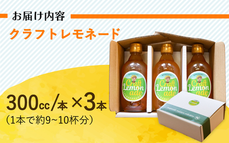 ながさきクラフトレモネード 3本 [EBU002]  ジュース じゅーす 国産ジュース レモンジュース フルーツジュース れもねーど レモネードベース レモネードシロップ シロップ レモン れもん 柑橘 自家製 原液