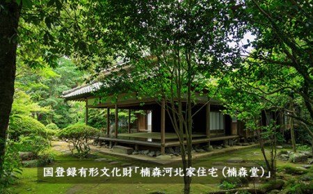 楠森堂 実生在来茶2種 (特上煎茶80g)・(特上ほうじ茶30g) セット 計110g お茶 茶 お茶の葉 茶葉 煎茶 緑茶 ほうじ茶 焙じ茶 焙茶 福岡県 うきは市