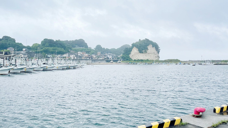 しらす干し 天日乾燥 800g(400g×2)（共通返礼品：茨城県北茨城市）