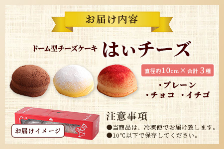 ふわしゅわ食感♪ドーム型スフレケーキ「はいチーズ」3種セット（プレーン・チョコ・いちご）｜お子様に人気 お祝い 誕生日 ギフト 贈答用 イベントスイーツ 佐賀県 鹿島市 送料無料 B-308