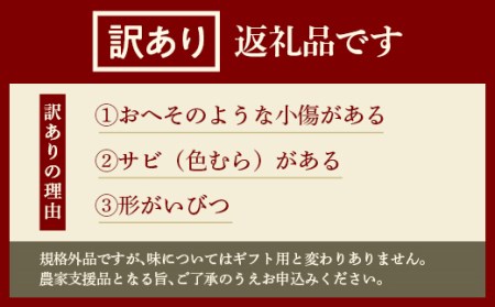 FYN6-430 《2026年先行予約》ご家庭用 山形県産西洋梨 ラ･フランス5kg 2026年11月中旬から順次発送 洋梨 洋なし ラフランス 秋果実 果物 くだもの フルーツ 訳あり 農業者 農家 支援 自宅 家庭 産地直送 山形県 西川町 月山