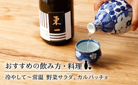 日本酒 東一 日本酒飲み比べ2種 NBQ001 