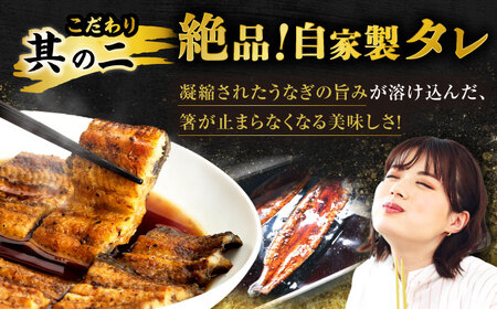鰻 蒲焼き2尾 NAI003 鰻