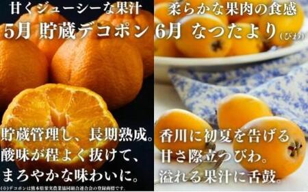 フルーツ定期便 12回 フルーツ いちご キウイ もも シャインマスカット みかん