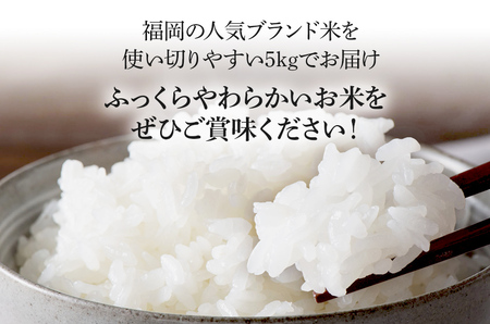  令和7年産　福岡県産ブランド米「夢つくし」白米　5kg【8月下旬頃より順次出荷予定】