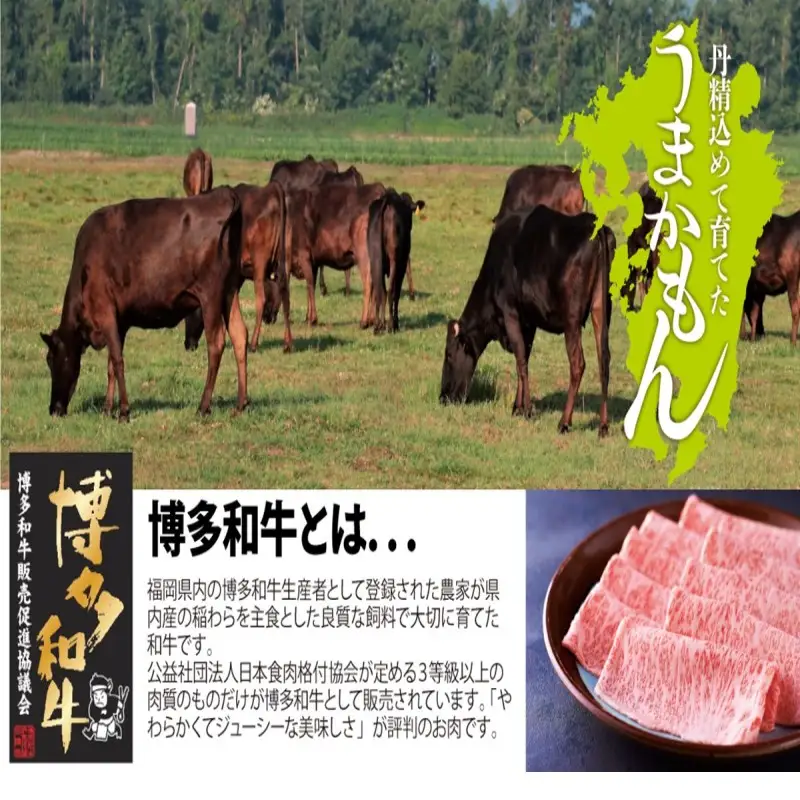博多和牛直火焼きローストビーフ250g【B1-021】