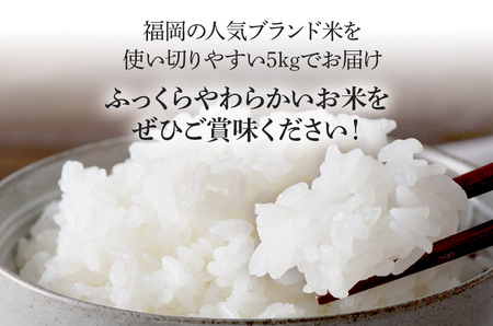  令和7年産　福岡県産ブランド米「夢つくし」無洗米　5kg【9月上旬頃より順次出荷予定】