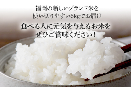  令和7年産　福岡県産ブランド米「元気つくし」白米5kg【11月上旬頃より順次出荷予定】