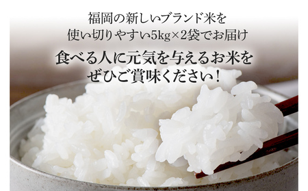 令和7年産　福岡県産ブランド米「元気つくし」白米10kg【11月上旬頃より順次出荷予定】