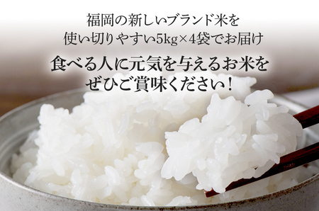 令和7年産　福岡県産ブランド米「元気つくし」白米20kg【11月上旬頃より順次出荷予定】