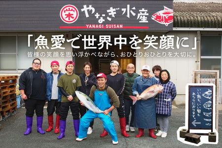 浜田の旨い鮮魚直送便 海鮮 セット 海鮮 【006_2043】