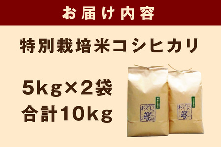 【令和7年産】浜田市金城町産の美味しいコシヒカリ100％【おぐに米】10kg 10キロ 米 おこめ コシヒカリ 白米 精米 特産品 ごはん お取り寄せ 小分け 【071_2070】