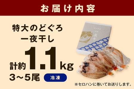 山陰浜田 香住屋のこだわり干物「特大のどぐろ一夜干し」（3～5尾） 魚 一夜干し 干物 のどぐろ 天然 加工品 【024_1981】