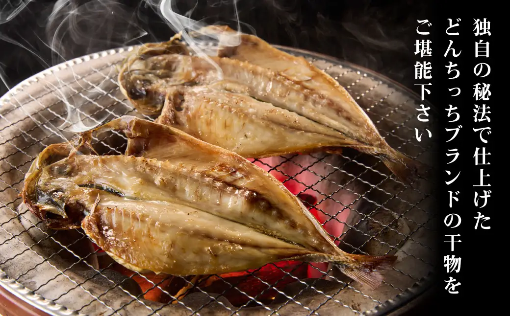どんちっちあじ一夜干し10枚セット 魚介類 魚 干物 一夜干し あじ 鯵 セット 【136_1970】