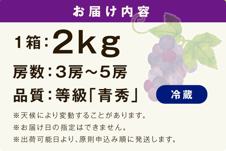 【先行予約】【2026年産】山陰浜田の特産果樹ピオーネ（2kg）＜8月下旬から発送開始予定＞ ふるさと納税 ぶどう ふるさと納税 ピオーネ ブドウ 葡萄 フルーツ くだもの 果物 【010_1945】