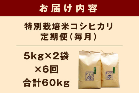 【定期便】【令和7年産】浜田市金城町産コシヒカリ「おぐに米」10kg定期便（6回コース）特別栽培米 定期便 10キロ 6回 米 お米 こしひかり 白米 特産品 お取り寄せ 精米 小分け 【071_2071】