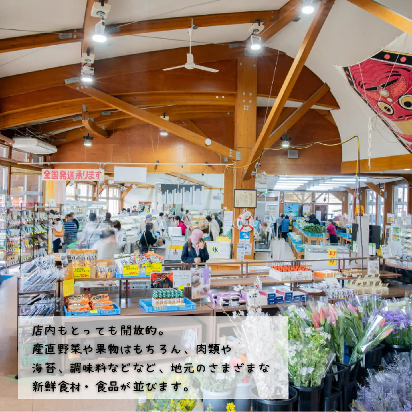 旬の野菜と果物セット：B165-002