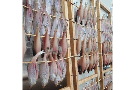 創業令和3年！何十年ぶりに浜田で鮮魚店誕生◎気合の入ったこだわり干物◎ 魚介 干物 ひもの 一夜干し おかず おつまみ 詰め合わせ セット 厳選 ギフト こだわり ふるさと納税 干物 【171_1638】
