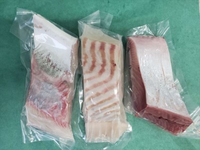 創業令和3年！何十年ぶりに浜田で鮮魚店誕生◎気合の入った刺身魚3種セット◎ 鮮魚詰め合わせ 鮮魚 お任せ セット 刺身 ブロック 冷凍 厳選 産地直送 お取り寄せ 真空 海鮮 魚介類 【171_1639】