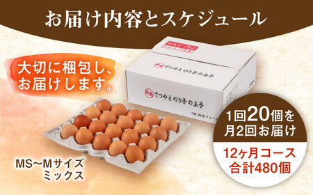《月2回×20個 12ヶ月コース》てつやとのりこの玉子 全24回定期便 糸島市 / 板垣ファーム [AWD014] ランキング 上位 人気 おすすめ