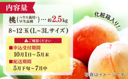 【2026年5月下旬-発送】桃 特別栽培ハウスもも 約2.5kg 化粧箱入り  / 桃 もも モモ フルーツ 果物 旬 / 南島原市 / ふくはちファーム / 福島農園 [SBS006]