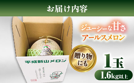 【2026年7月下旬-発送】【平成新山メロンPREMIUM（とみちゃん厳選）】アールスメロン 1玉 / メロン めろん 青肉 糖度 果物 くだもの フルーツ ふるーつ 旬 高級 ギフト / 南島原市 / うえだメロン園 [SAD005]