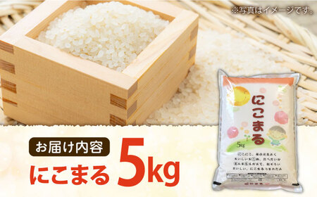 【3回定期便】 長崎県産 精米 にこまる 5kg 総計 15kg / 南島原市 / 大松屋商店 [SDR002]